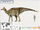 Amurosaurus