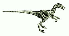 Beelemodon