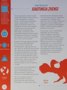 Bumper Xiaotingia.png (290 KB)