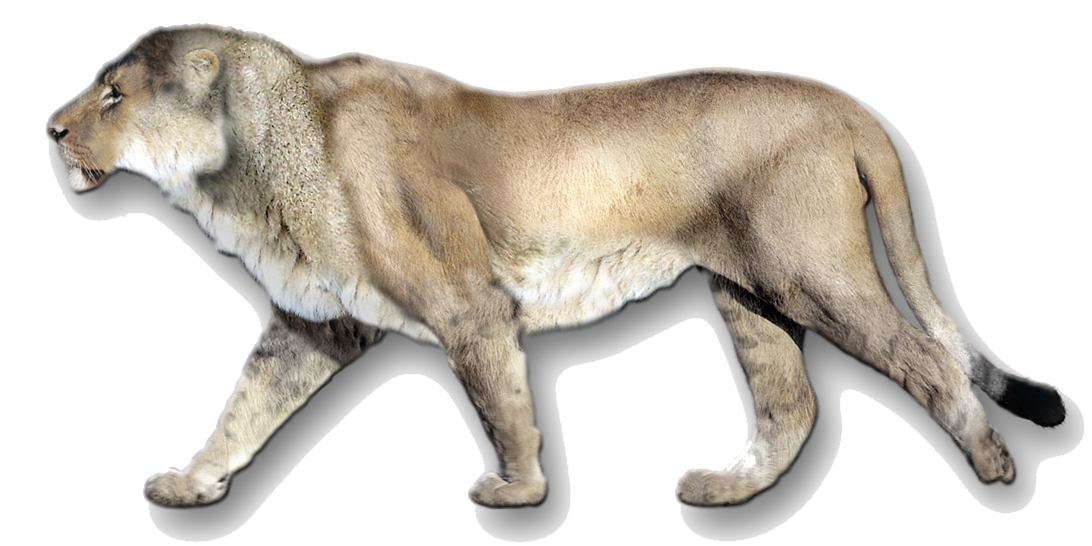 Geologic Times — Cave Lion
