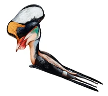 Afrotapejara brennan-stokkermans