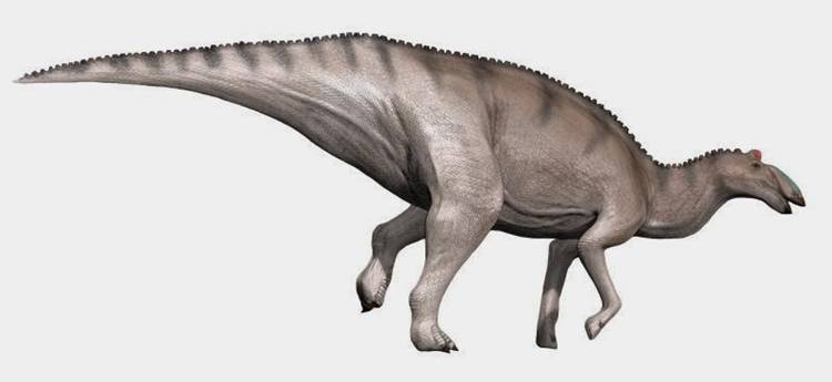 edmontosaurus size