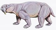 Dinodontosaurus1DB