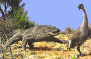 Megalania chasing a bird