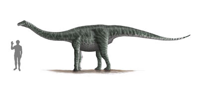 Ferganasaurus.jpg