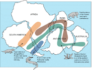 Location of Mesosaurus tenuidens remains shown in blue.