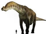 Argentinosaurus