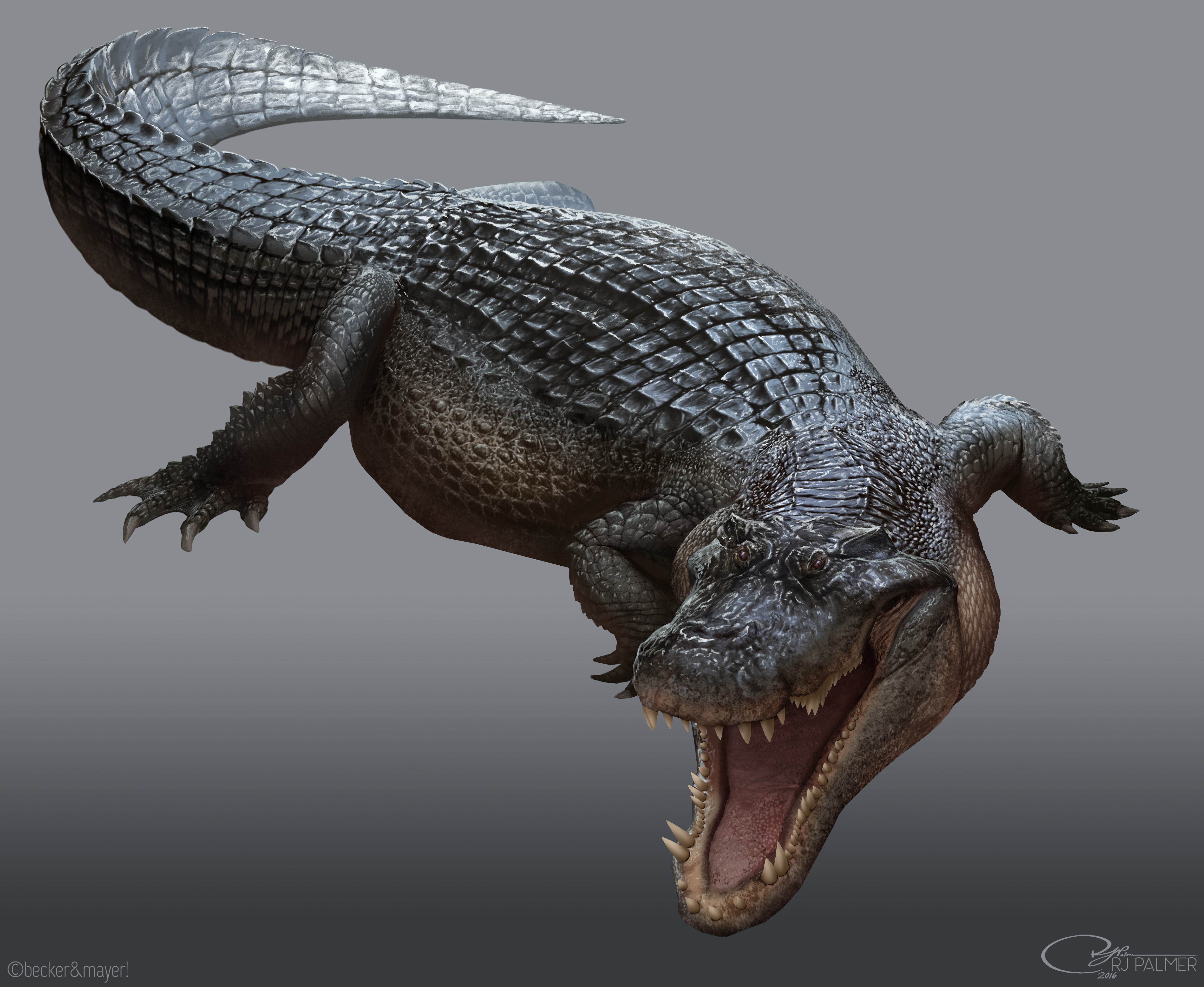Deinosuchus Reconstruction