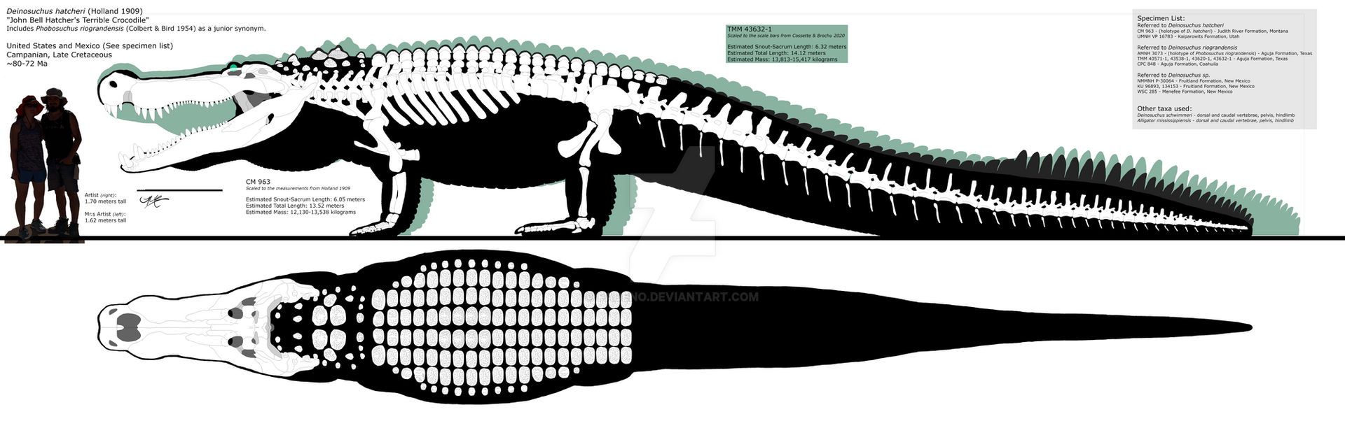 An Ultimate Guide to Deinosuchus: The Terrible Crocodile