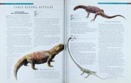 Early Ruling Reptiles 1.png (580 KB)