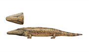 Life restoration of Antarctosuchus polyodon