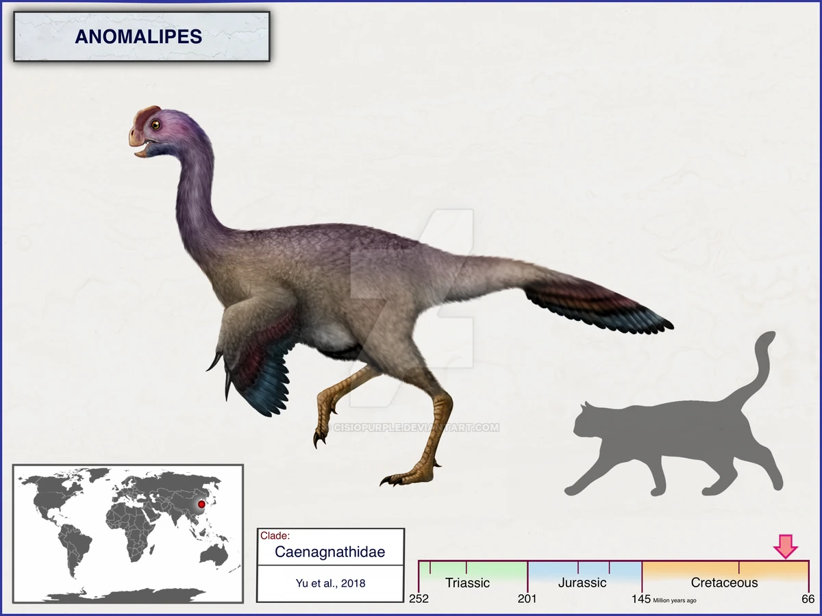 Anomalipes Dinopedia Fandom