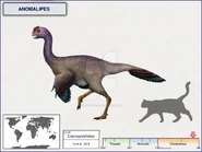 Anomalipes size.png (2.05 MB)