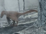 Atrociraptor