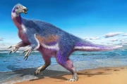 Paralitherizinosaurus japonicus