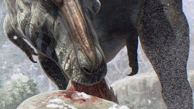 Why do people think that the T. rex would destroy the giga it looks more  like a fair fight to me. : r/Dinosaurs