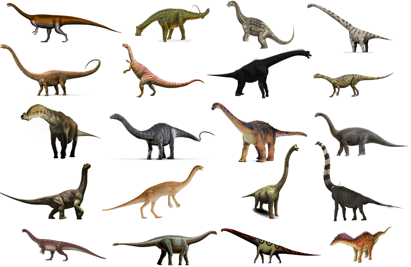 List of sauropodomorph type specimens - Wikipedia