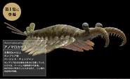 Z01-1.png (323 KB) Anomalocaris