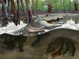 Gnatusuchus