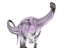 Austrosaurus.jpg