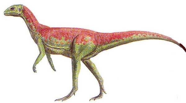 Euhelopus Pictures & Facts - The Dinosaur Database