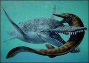 Megacephalosaurus