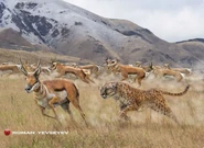 Aa363e3a7146b2ff32920a0fe2d85d56.jpg (296 KB)