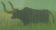 BotW Water Buffalo Model.png (40 KB)