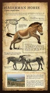 Hagerman Horse Description.jpg (1.18 MB)