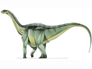 JPI Rhoetosaurus