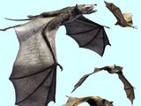 Icaronycteris