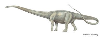 Mm-mamenchisaurus-illustration-big.jpg