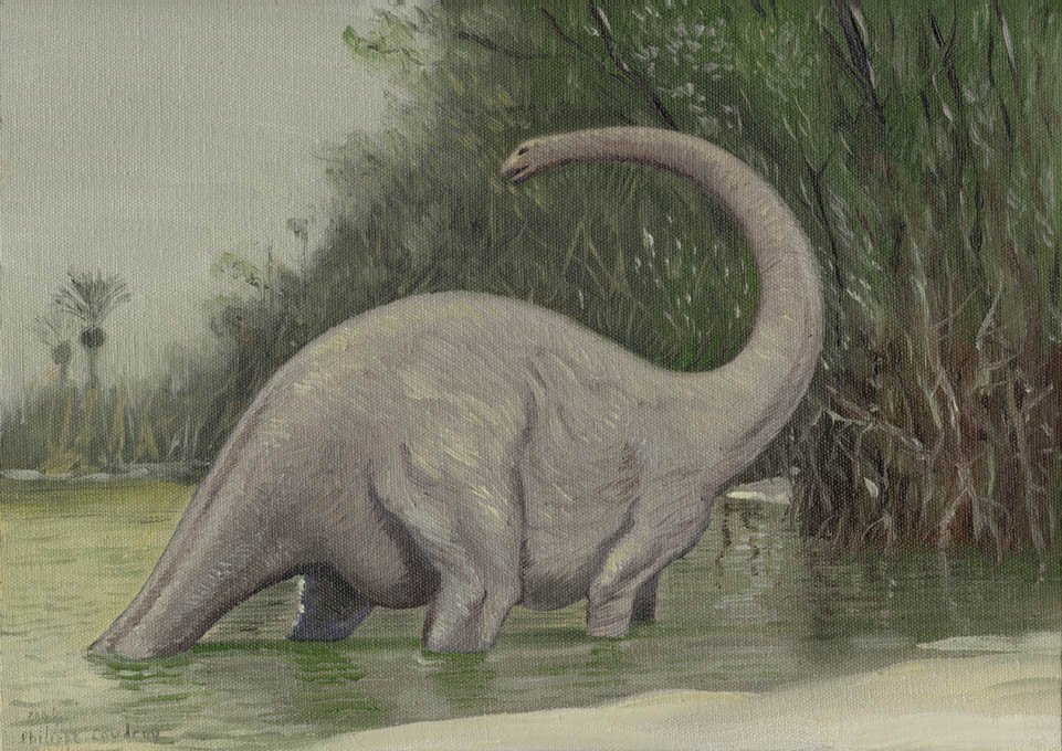 Myths & Legends - Mokele-mbembe Mokèlé-mbèmbé is the name given to a large  water dwelling cryptid found in the legends and folklore of the Congo River  basin. It is analogous to the