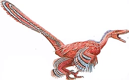 Saurornitholestes