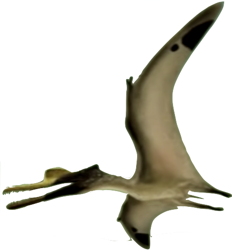 In Stock Vitae Zhejiangopterus Dinosaur Model 1/35 16cm Static Statue  Pterodactyloidea Azhdarchidae Pterosaur