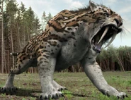 Smilodon