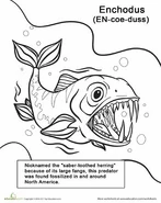 A39997e041a649f00573a4ee4db26b57.jpg (39 KB)