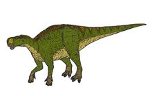 Altirhinus 01.jpg