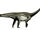 Macrurosaurus