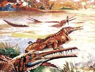 Mesosaurus 11 cc