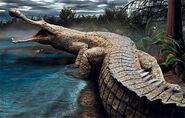 Sarcosuchus imperator