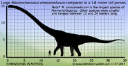 Mamenchisaurus-size