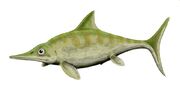 Ophthalmosaurus BW