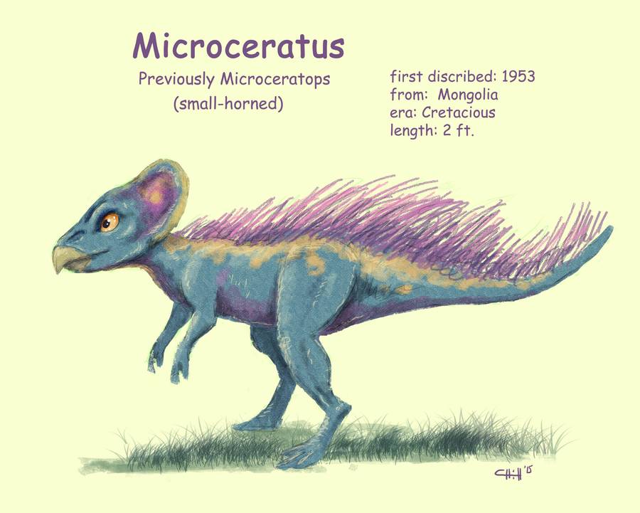Microceratus | Dinopedia | Fandom