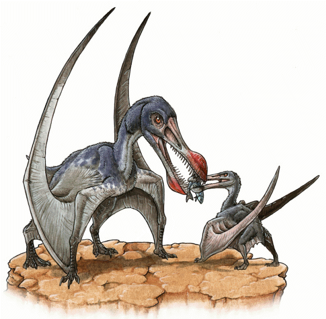 Quetzalcoatlus, Dinopedia