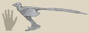 Zhongjianosaurus size.png (43 KB)