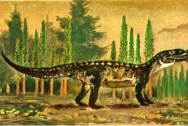 Prolimnocyon, Dinopedia