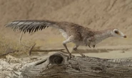 Mononykus in Prehistoric Planet