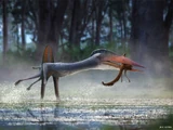 Hatzegopteryx