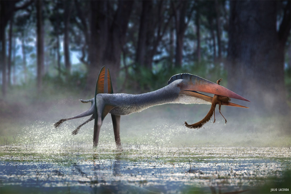 The evolution of depictions of Quetzalcoatlus, showing that the genus (and azhdarchids in general) were pterosaurs that hunted on foot rather than being aerial predators like most (though not all) predatory birds.